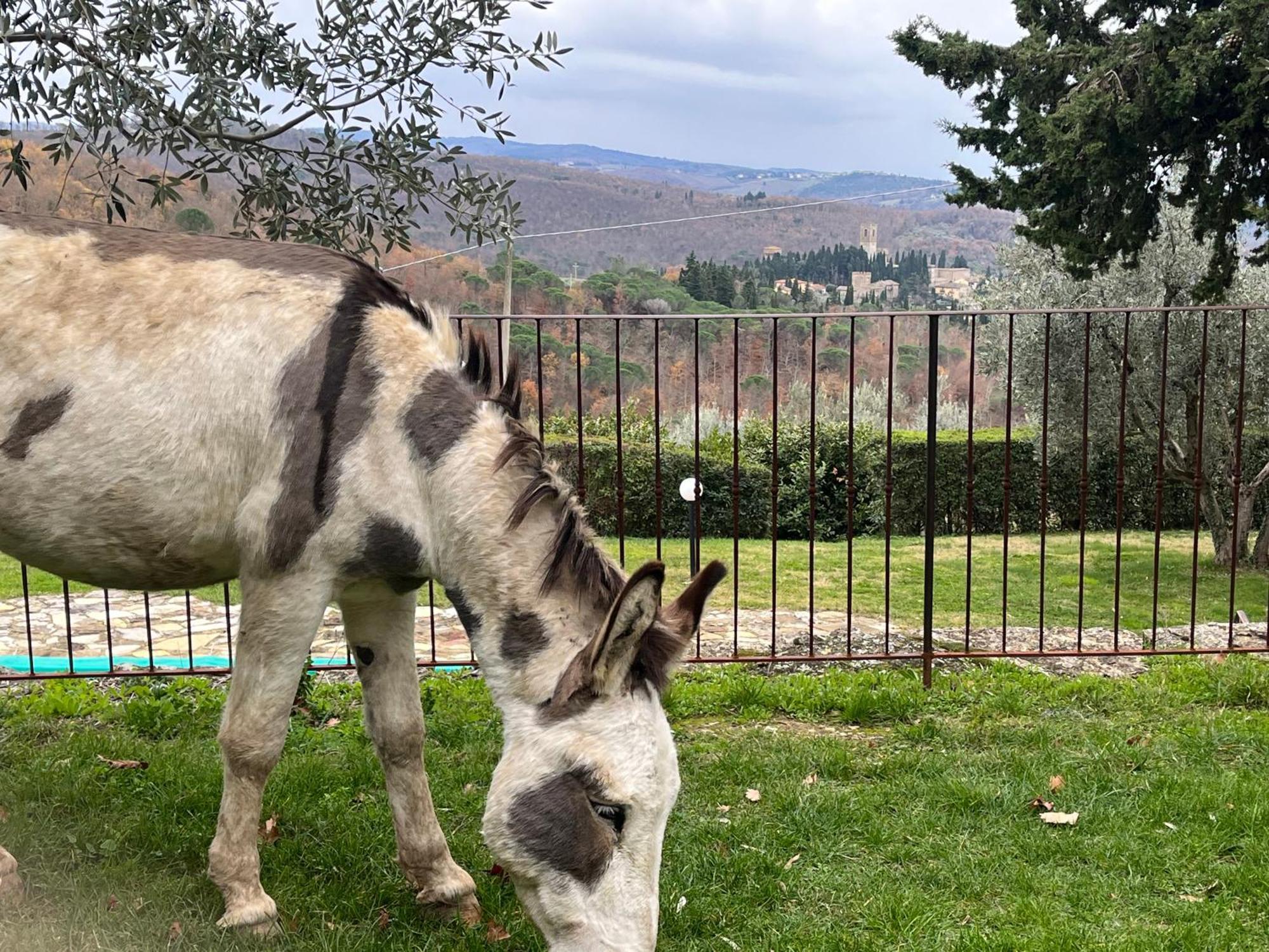 Badia A Passigano Il Fiorino Di Badia 아파트 외부 사진